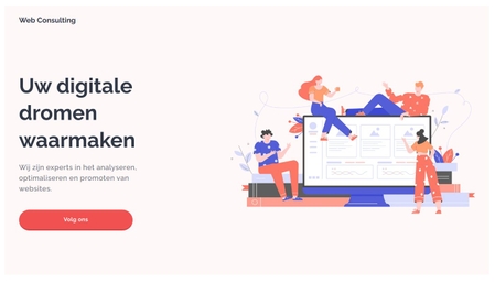 Web Consulting Website Sjabloon