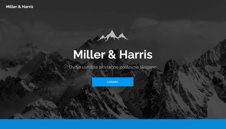 Predložak: Poslovni savjetnici