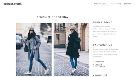 Șablon: Blog de modă