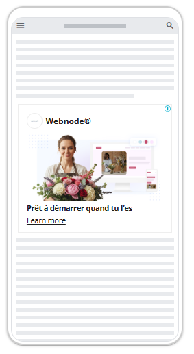 Display ad example